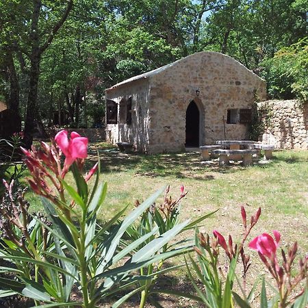 Le Donjon Des Combes Et Son Spa Fayence Εξωτερικό φωτογραφία